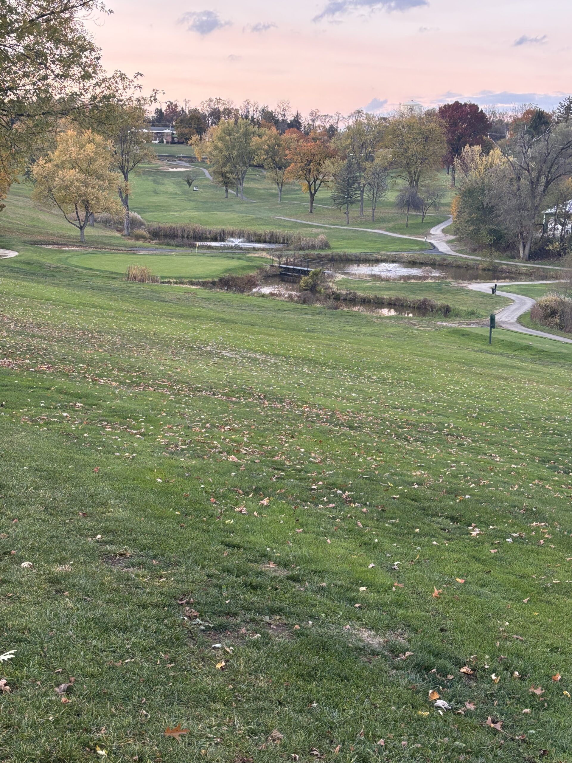 17-tee-scaled