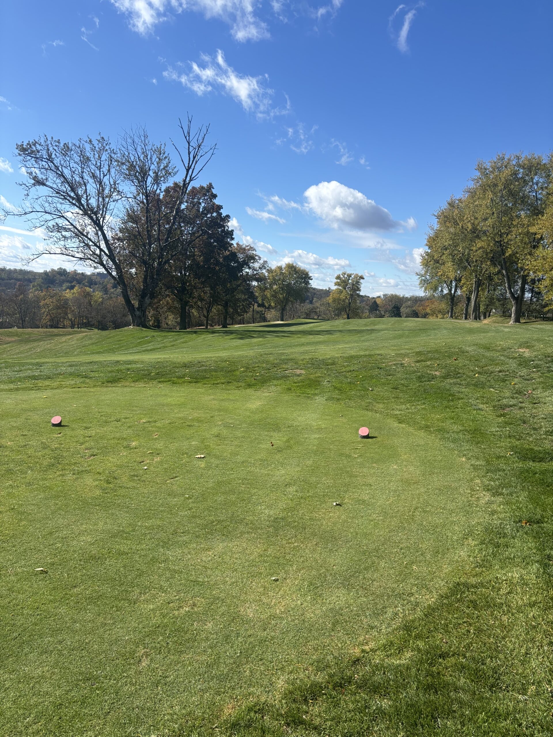 2-tee-scaled