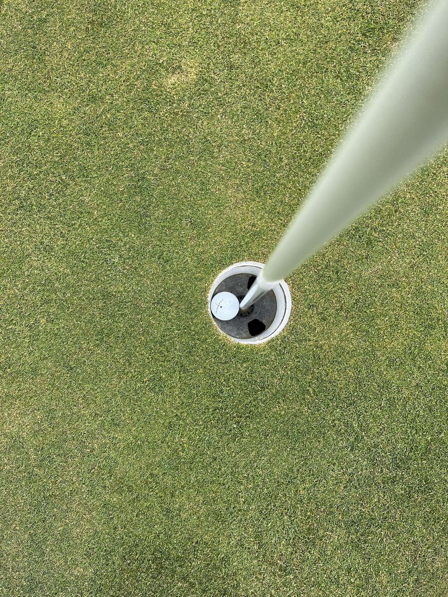 6-hole
